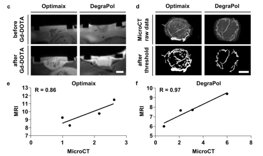 Novel multimodal MRI and Micro-CT imaging approach to quantify angiogenesis and 3D vascular architecture of biomaterials